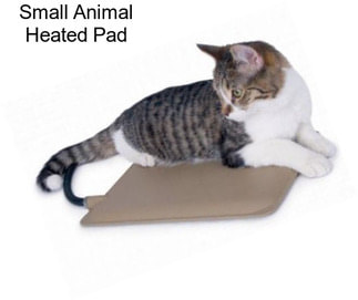 Small Animal Heated Pad