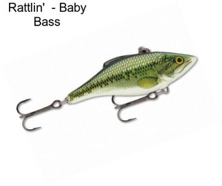 Rattlin\'  - Baby Bass