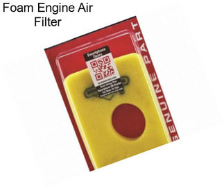 Foam Engine Air Filter