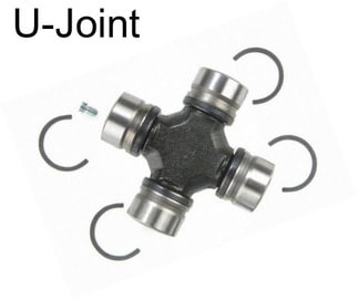 U-Joint