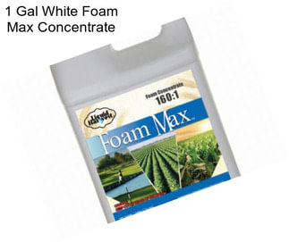 1 Gal White Foam Max Concentrate