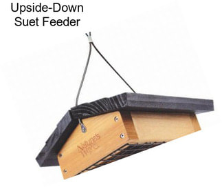 Upside-Down Suet Feeder