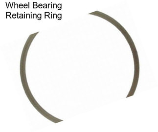 Wheel Bearing Retaining Ring