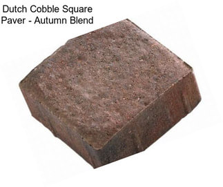 Dutch Cobble Square Paver - Autumn Blend