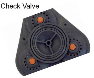 Check Valve