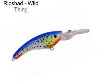 Ripshad - Wild Thing