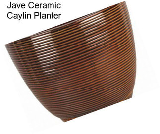 Jave Ceramic Caylin Planter