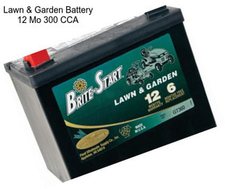 Lawn & Garden Battery 12 Mo 300 CCA
