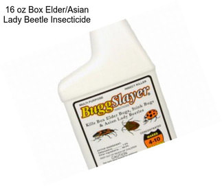 16 oz Box Elder/Asian Lady Beetle Insecticide