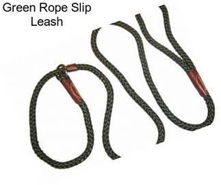 Green Rope Slip Leash