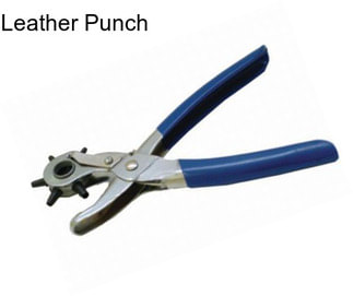 Leather Punch