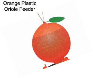 Orange Plastic Oriole Feeder