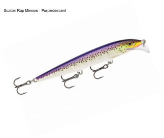 Scatter Rap Minnow - Purpledescent