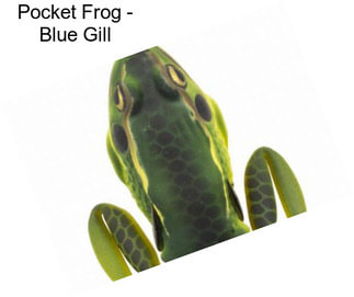 Pocket Frog - Blue Gill