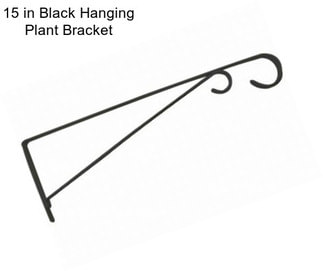 15 in Black Hanging Plant Bracket