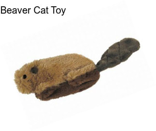 Beaver Cat Toy