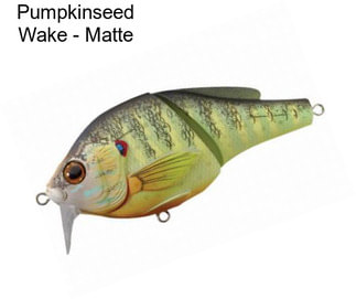 Pumpkinseed Wake - Matte