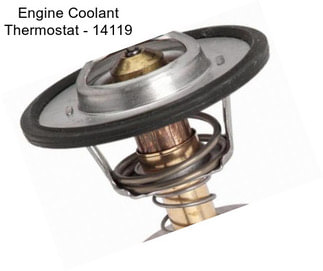 Engine Coolant Thermostat - 14119