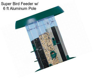 Super Bird Feeder w/ 6 ft Aluminum Pole