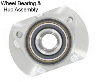 Wheel Bearing & Hub Assembly