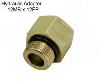 Hydraulic Adapter - 12MB x 12FP