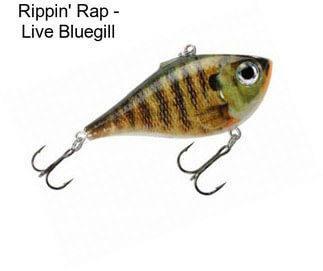 Rippin\' Rap - Live Bluegill