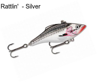 Rattlin\'  - Silver