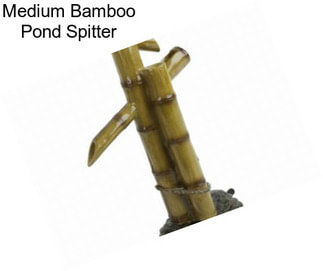 Medium Bamboo Pond Spitter