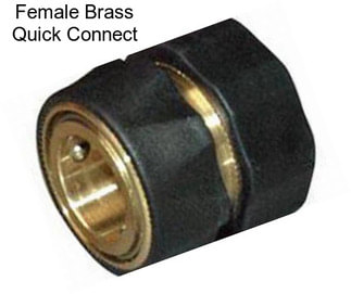 Female Brass Quick Connect