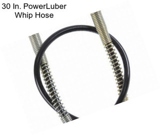 30 In. PowerLuber Whip Hose