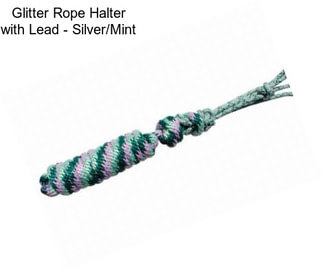 Glitter Rope Halter with Lead - Silver/Mint