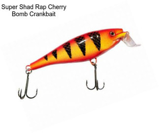 Super Shad Rap Cherry Bomb Crankbait