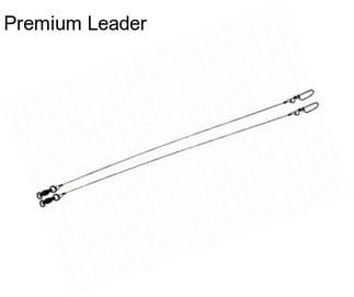 Premium Leader