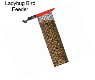 Ladybug Bird Feeder