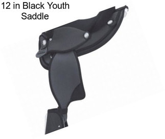 12 in Black Youth Saddle