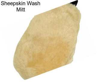 Sheepskin Wash Mitt