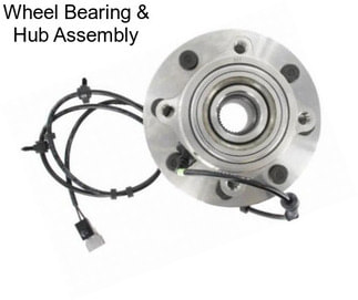 Wheel Bearing & Hub Assembly