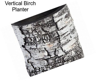 Vertical Birch Planter