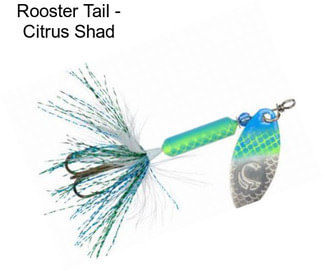 Rooster Tail - Citrus Shad