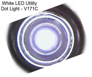 White LED Utility Dot Light - V171C