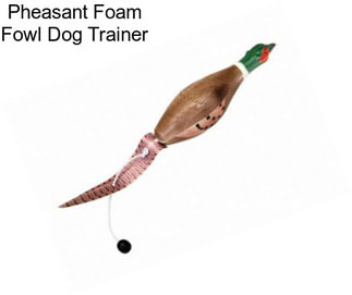 Pheasant Foam Fowl Dog Trainer