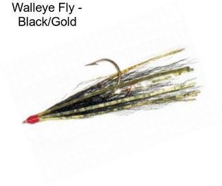 Walleye Fly - Black/Gold