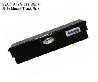 SEC 48 in Gloss Black Side Mount Truck Box