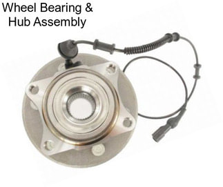 Wheel Bearing & Hub Assembly