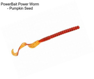 PowerBait Power Worm - Pumpkin Seed