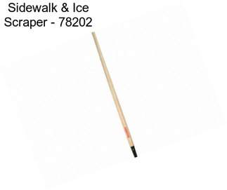 Sidewalk & Ice Scraper - 78202