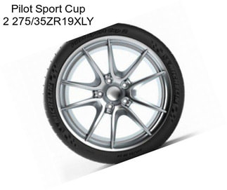 Pilot Sport Cup 2 275/35ZR19XLY