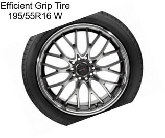 Efficient Grip Tire 195/55R16 W