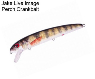 Jake Live Image Perch Crankbait