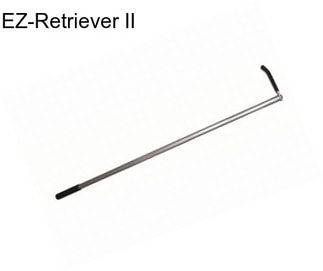 EZ-Retriever II